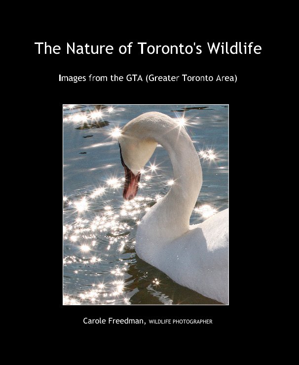 View The Nature of Toronto's Wildlife by Carole Freedman, WILDLIFE PHOTOGRAPHER