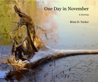 One Day in November book cover