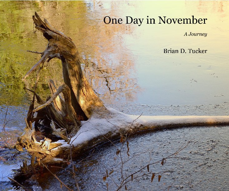 Ver One Day in November por Brian D. Tucker