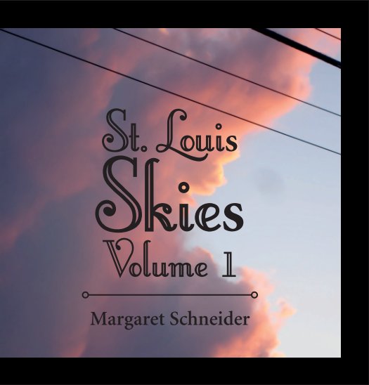 View St. Louis Skies, Volume 1 (Hardcover) by M.J. Schneider
