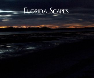Florida Scapes book cover