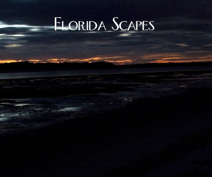 View Florida Scapes by Robert Stanton