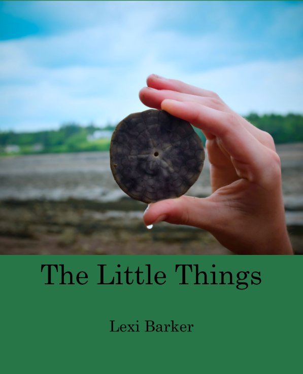 View The Little Things by Lexi Barker