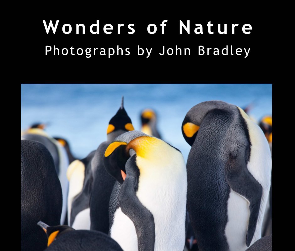 View Wonders of Nature by John Bradley
