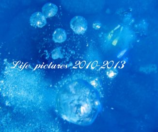 Life pictures 2010-2013 book cover