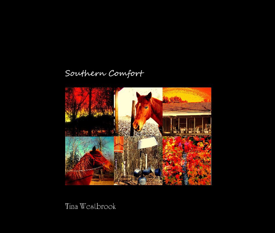 View Southern Comfort by Tina Westbrook