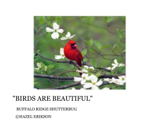 "BIRDS ARE BEAUTIFUL" book cover