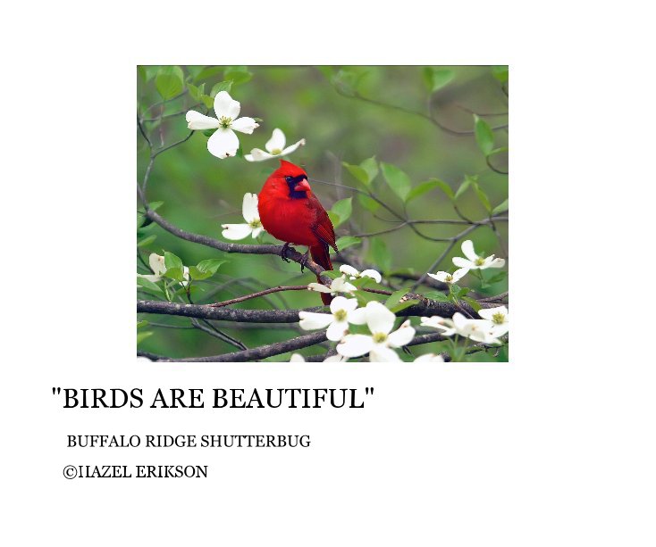 Bekijk "BIRDS ARE BEAUTIFUL" op Â©HAZEL ERIKSON