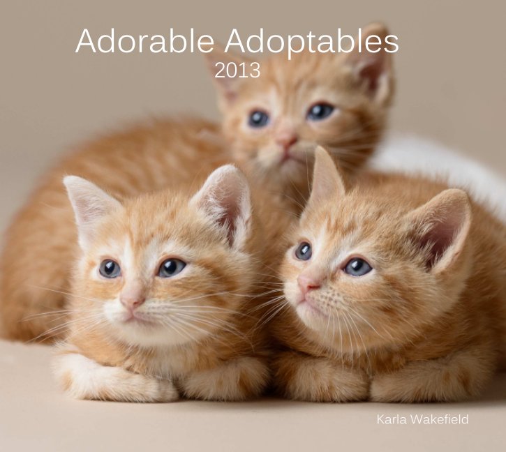 Ver Adorable Adoptables por Karla Wakefield