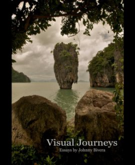 Visual Journeys book cover