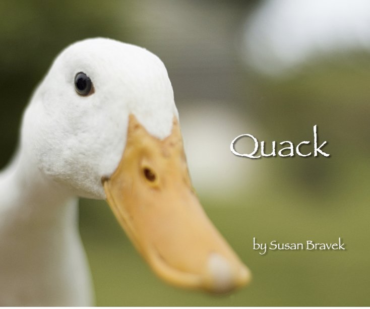 Bekijk Quack op Susan Bravek