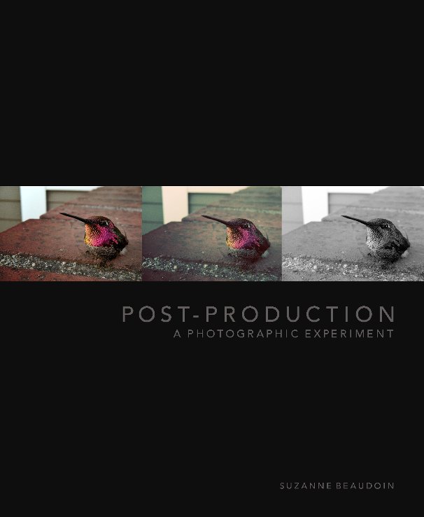 View Post-Production by Suzanne Beaudoin