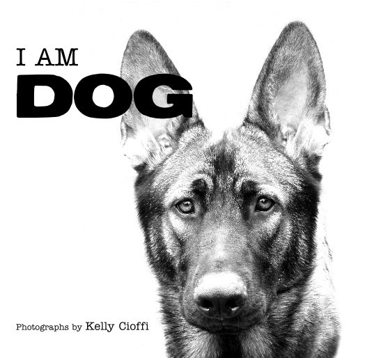 View I AM DOG Photographs by Kelly Cioffi by KELLY CIOFFI