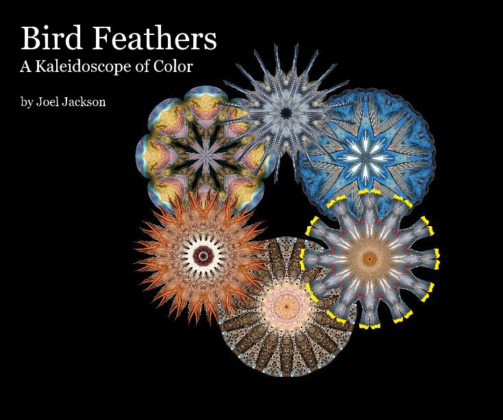 Bekijk Bird Feathers op Joel Jackson