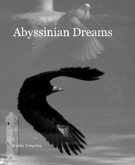 Abyssinian Dreams book cover