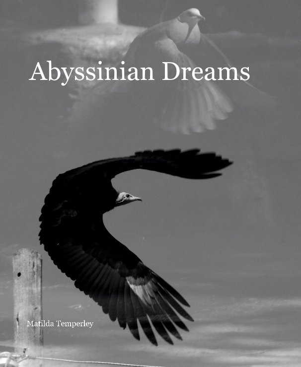 View Abyssinian Dreams by Matilda Temperley
