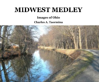 MIDWEST MEDLEY book cover