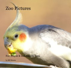 Zoo Pictures book cover