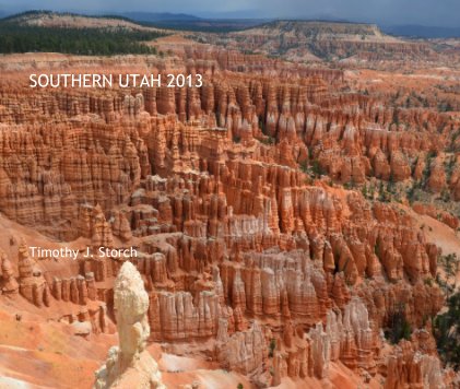 SOUTHERN UTAH 2013 Timothy J. Storch book cover