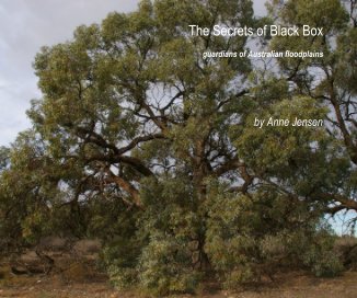 The Secrets of Black Box (A4 landscape) book cover