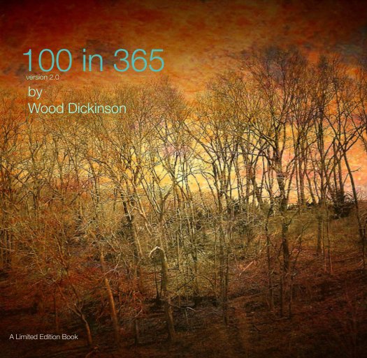 Ver 100 in 365 version 2.0 por Wood Dickinson
