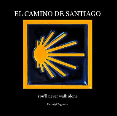 EL CAMINO DE SANTIAGO book cover