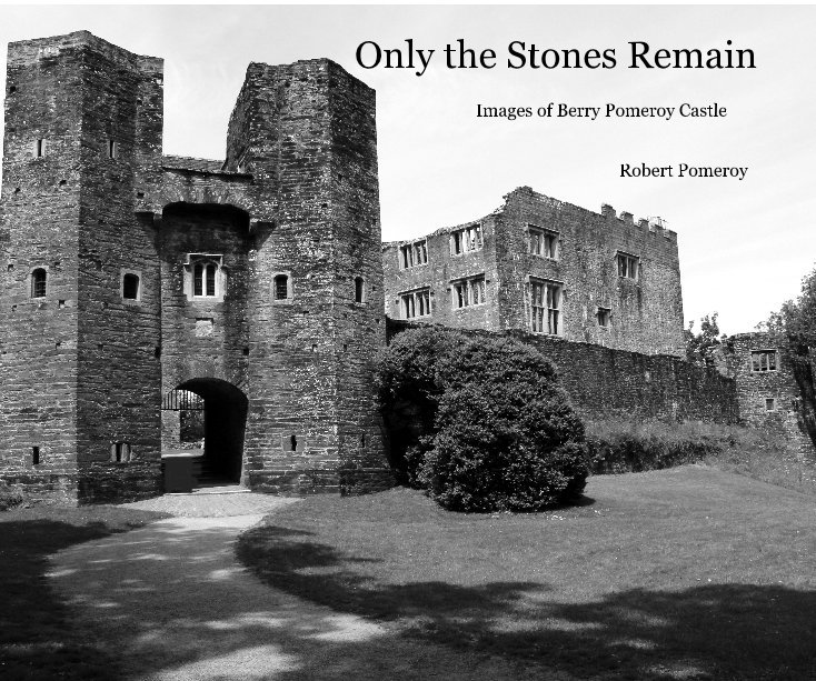 View Only the Stones Remain by Robert Pomeroy