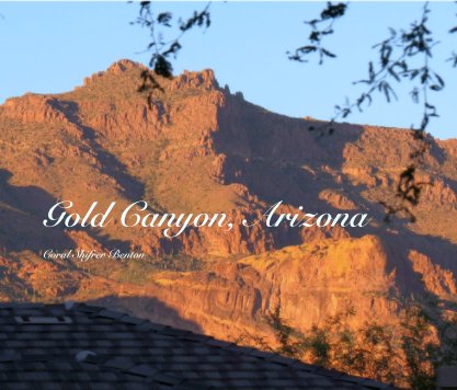 Gold Canyon, Arizona 

Coral Shifrer Benton book cover