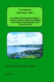 The Kette Run Beach Walk - Walk 7 book cover