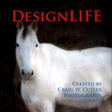 DesignLIFE - Volume 4 book cover