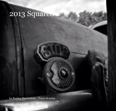 2013 Squared book cover