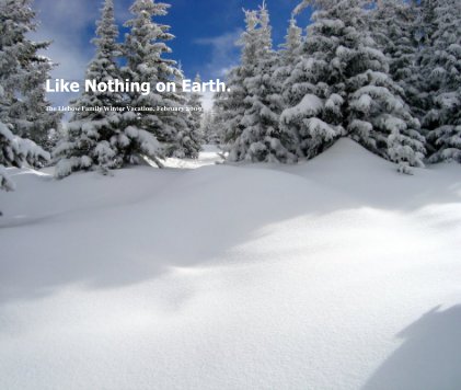 Like Nothing on Earth. book cover