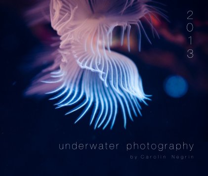 underwater photography 2013 L book cover