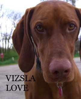 VIZSLA LOVE book cover
