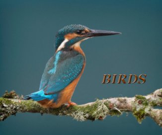 BIRDS book cover