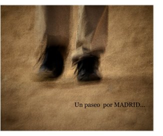 Un paseo por Madrid book cover
