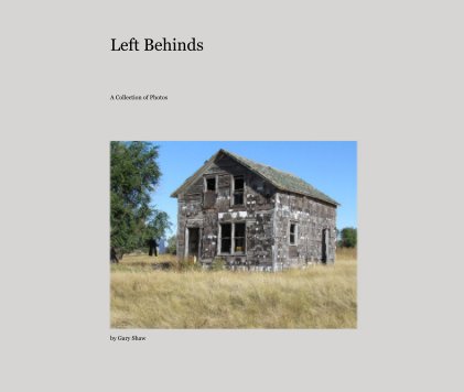 Left Behinds book cover