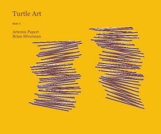 Turtle Art book cover
