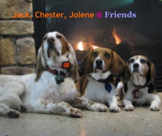 Jack, Chester, Jolene & Friends book cover