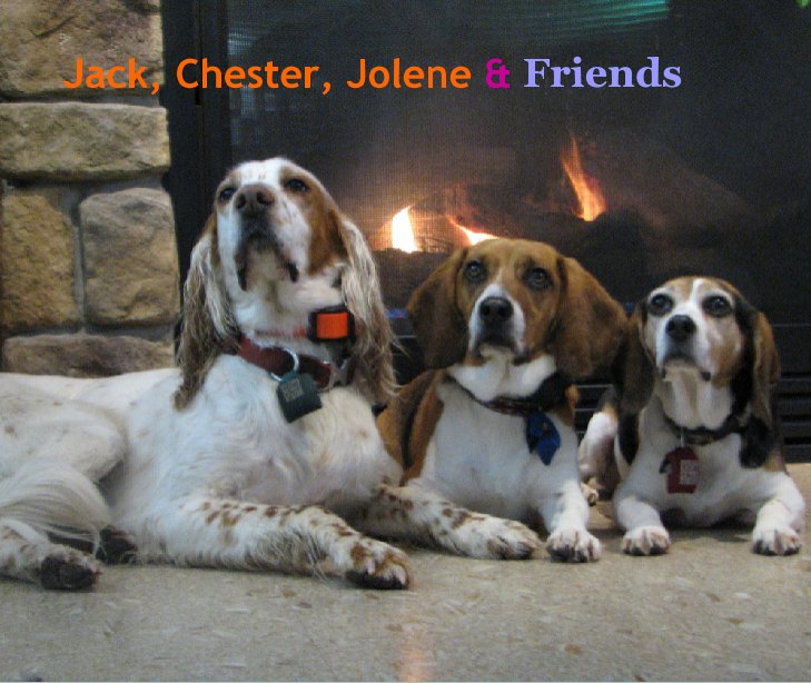View Jack, Chester, Jolene & Friends by Mary Beth Aiello