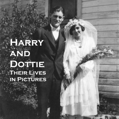 Harry and Dottie book cover