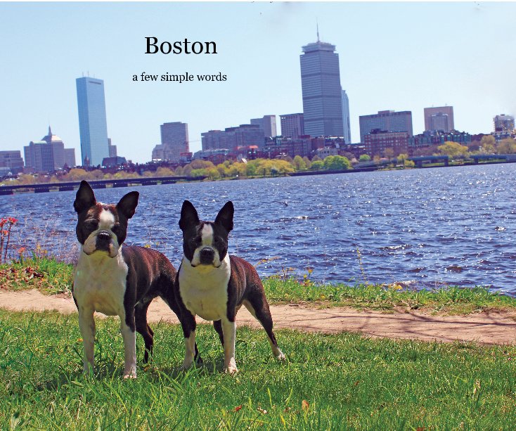 Ver Boston por Jeanne Stewart