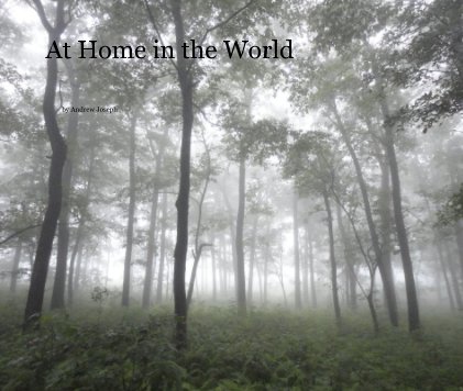 At Home in the World book cover