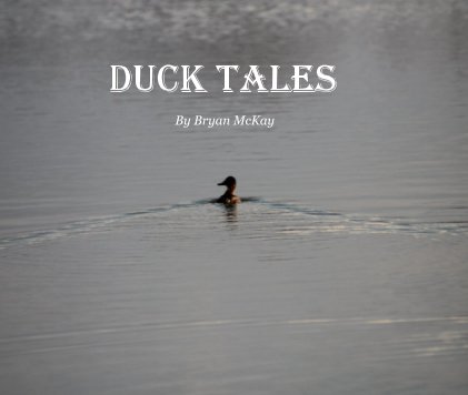 Duck Tales book cover