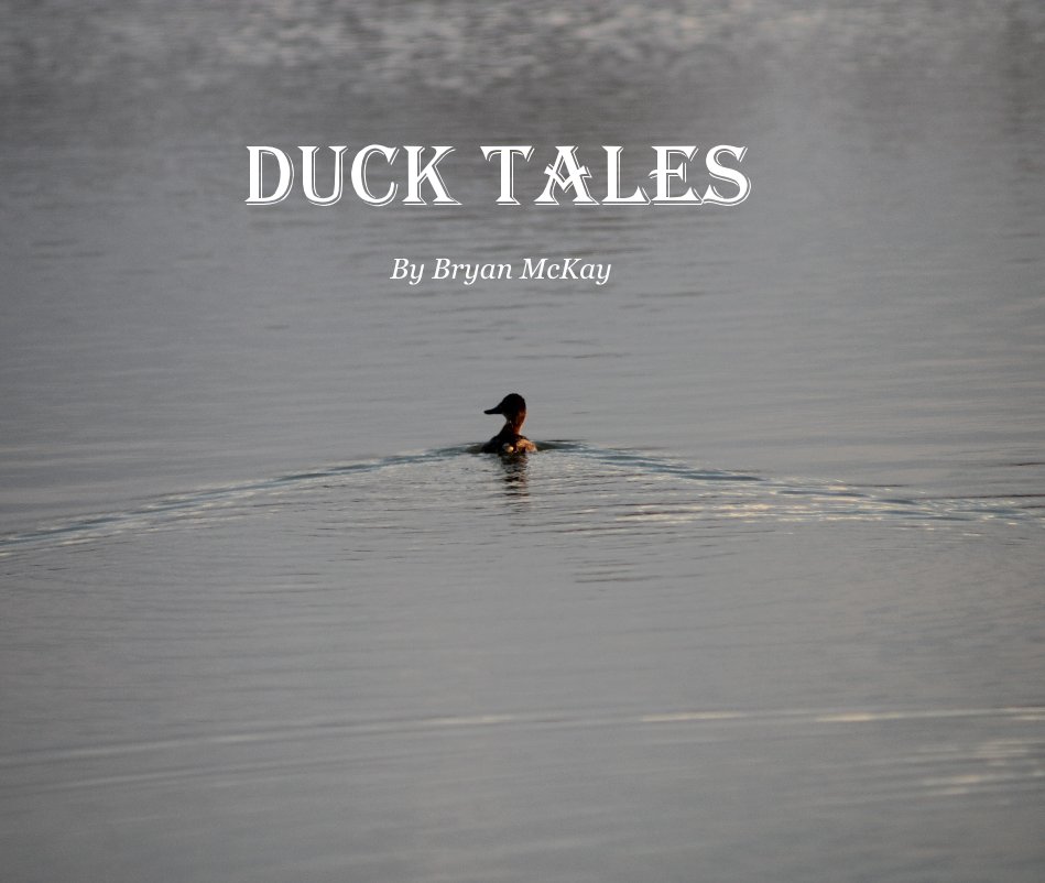 View Duck Tales by Bryan McKay