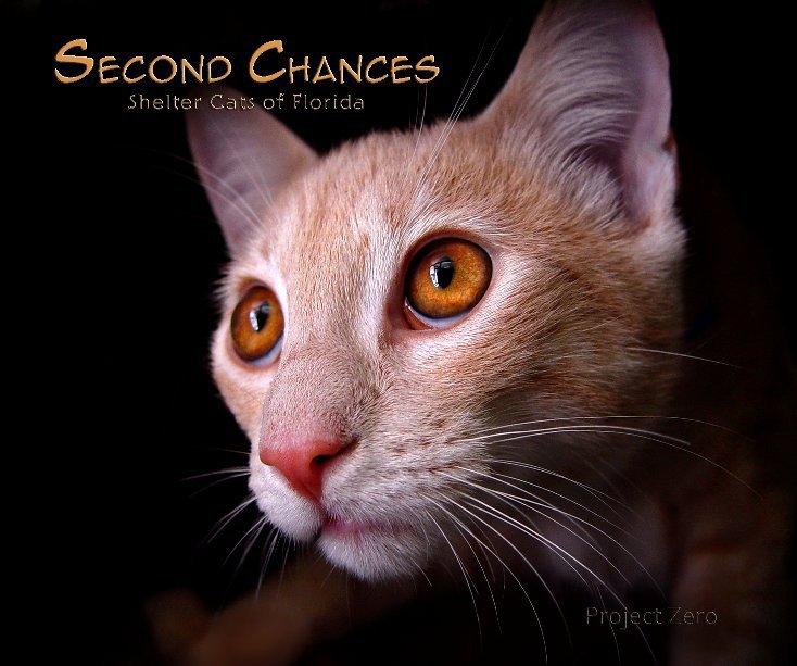 View Second Chances by Cully Miller