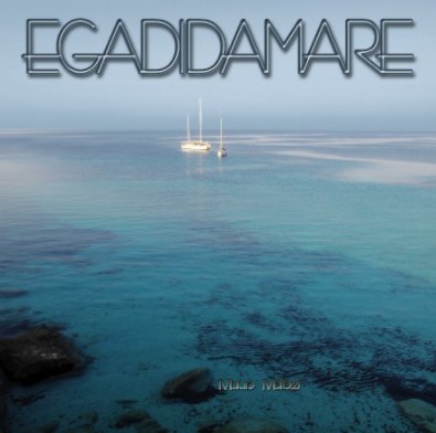Egadidamare book cover
