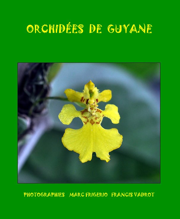 Ver ORCHIDÉES DE GUYANE por PHOTOGRAPHIES MARC FRIGERIO FRANCIS VADROT