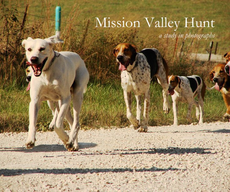 View Mission Valley Hunt a study in photographs by vaolson
