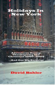 Holidays In New York book cover